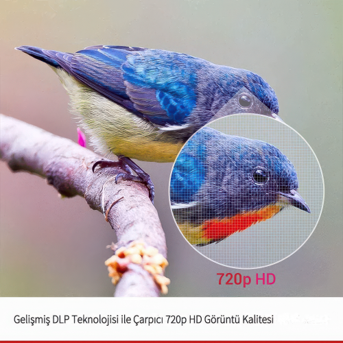 Anker Nebula Capsule II Taşınabilir Projeksiyon Cihazı ve Hoparlör