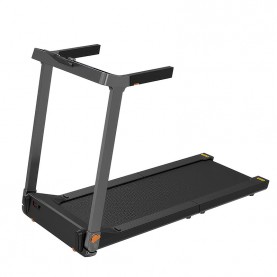 Walkingpad G1 Katlanabilir Yürüme ve Koşu Bandı (SPR153)